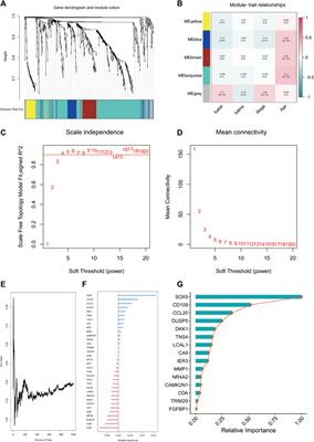A systematic and comprehensive analysis of T cell exhaustion related to therapy in lung adenocarcinoma tumor microenvironment